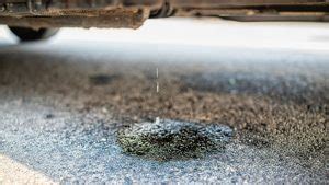 car leaking gasoline|Gas Leaks in Car [Causes and How to Fix]